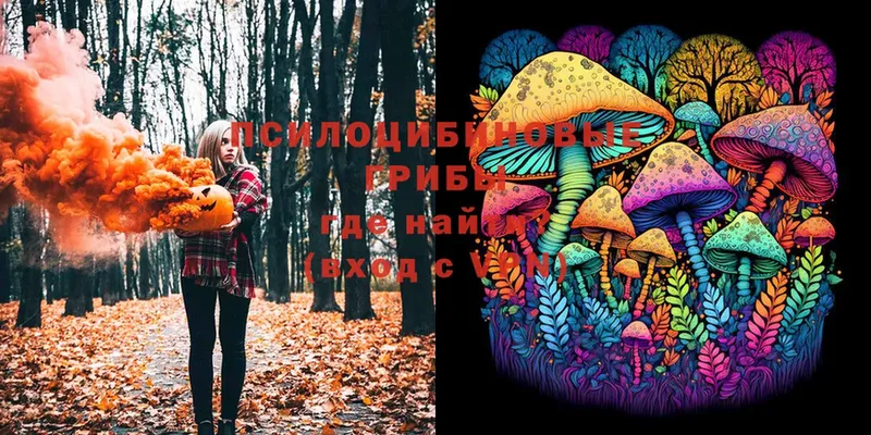 Галлюциногенные грибы Psilocybine cubensis Россошь